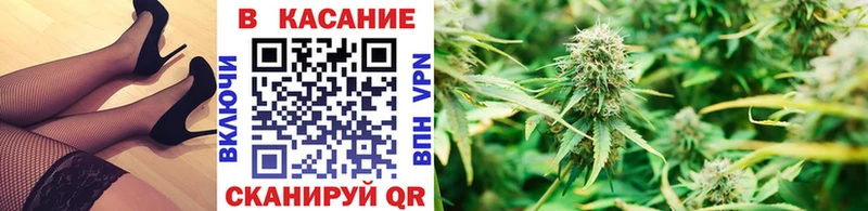 Где купить наркоту Городовиковск Канабис АМФ Меф Кокаин