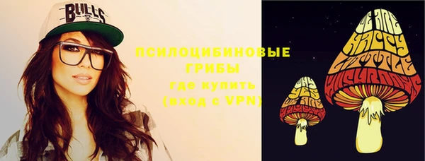 ПСИЛОЦИБИНОВЫЕ ГРИБЫ Беломорск