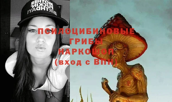 ПСИЛОЦИБИНОВЫЕ ГРИБЫ Беломорск