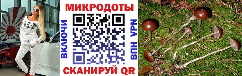 shop официальный сайт  omg вход  Городовиковск  Галлюциногенные грибы мухоморы 